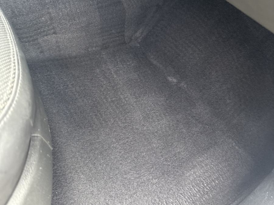 Carpet Shampoo & Extraction, after carpet shampoo and extraction